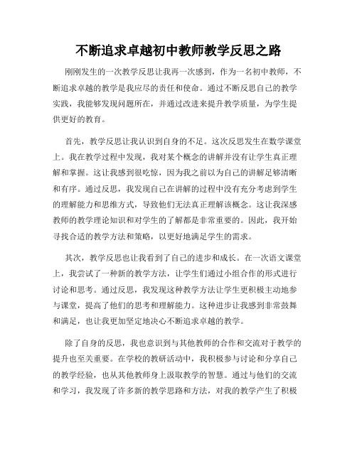 不断追求卓越初中教师教学反思之路