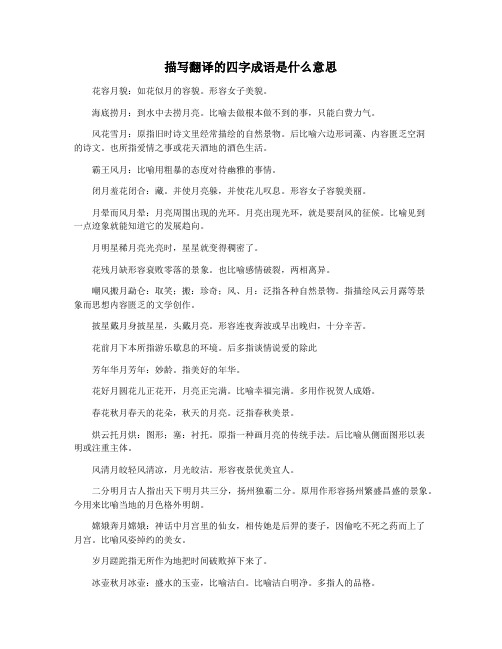 描写翻译的四字成语是什么意思