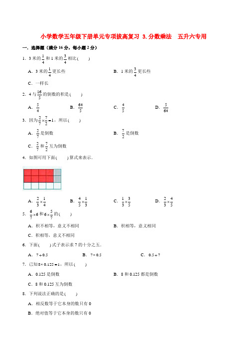 小学数学五年级下册单元专项拔高复习 3分数乘法  五升六专用(北师大版含答案)