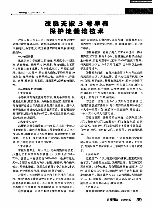 改良天椒3号早春保护地栽培技术