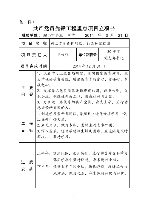 共产党员先锋工程重点项目立项书