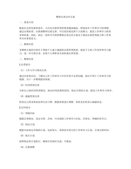 整顿自查自纠方案