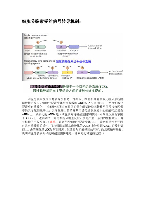 (完整word版)细胞分裂素受的信号转导机制