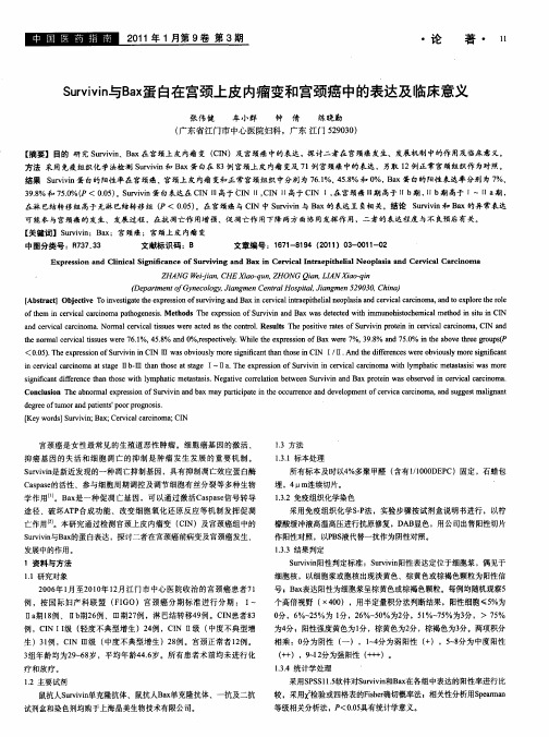 Survivin与Bax蛋白在宫颈上皮内瘤变和宫颈癌中的表达及临床意义