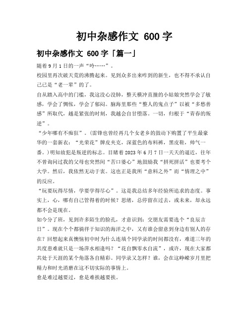 初中杂感作文 600字