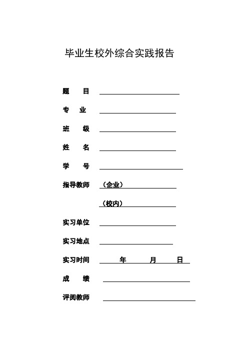 毕业生校外综合实践报告格式