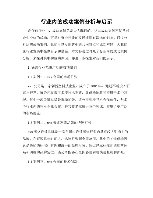 行业内的成功案例分析与启示