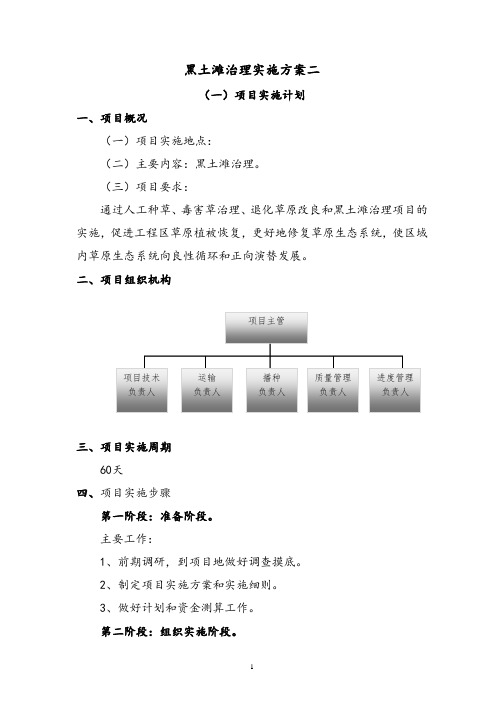 黑土滩治理实施方案二