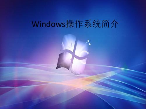 Windows操作系统简介