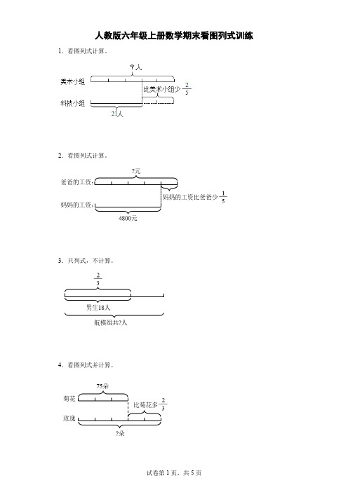 人教版六年级上册数学期末看图列式训练