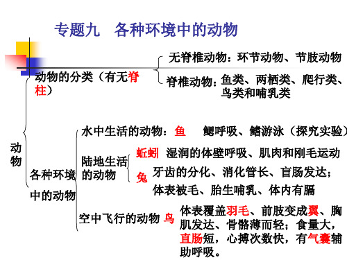 各种环境中的动物