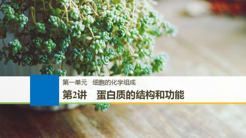 2019届高三一轮复习备考生物苏教专版一体资料课件:第一单元+第2讲+蛋白质的结构和功能+【KS5U+高考】