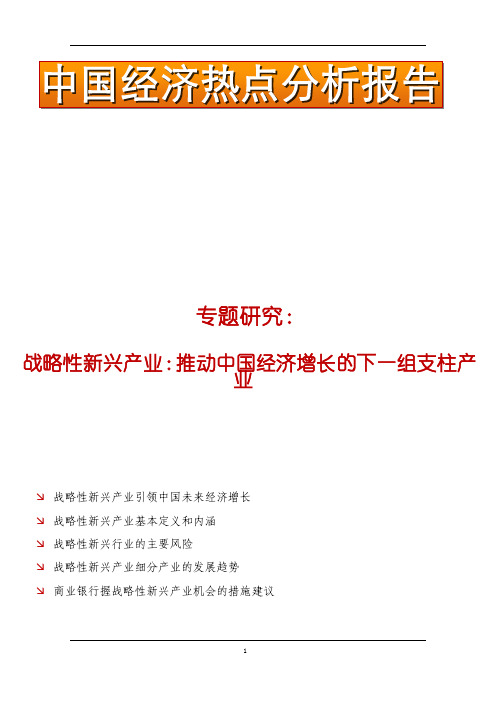 2010经济热点战略性新兴产业研究报告
