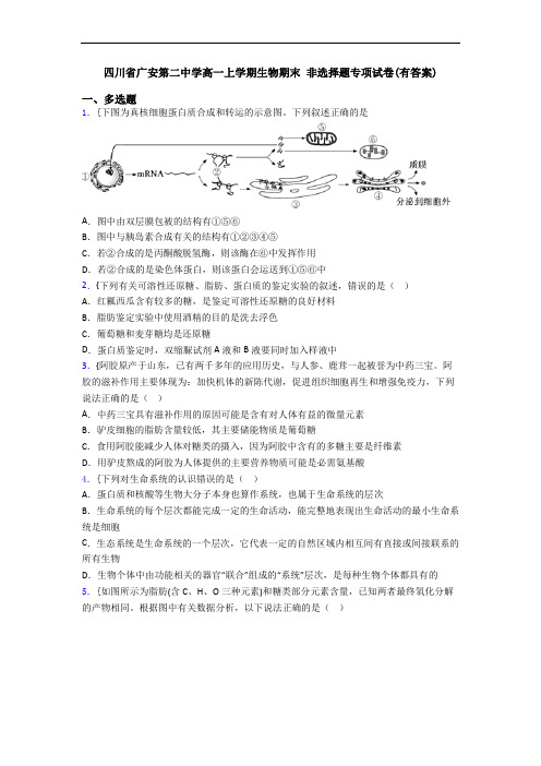 四川省广安第二中学高一上学期生物期末 非选择题专项试卷(有答案)