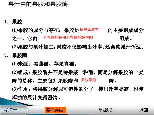 浙科版高中生物选修一 第二部分 实验6 α-淀粉酶的固定化及淀粉水解作用的检测(共18张PPT)