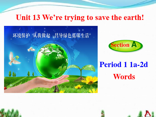 新人教版九年级英语下册Unit 13 We’re trying to save the earth!公开课课件