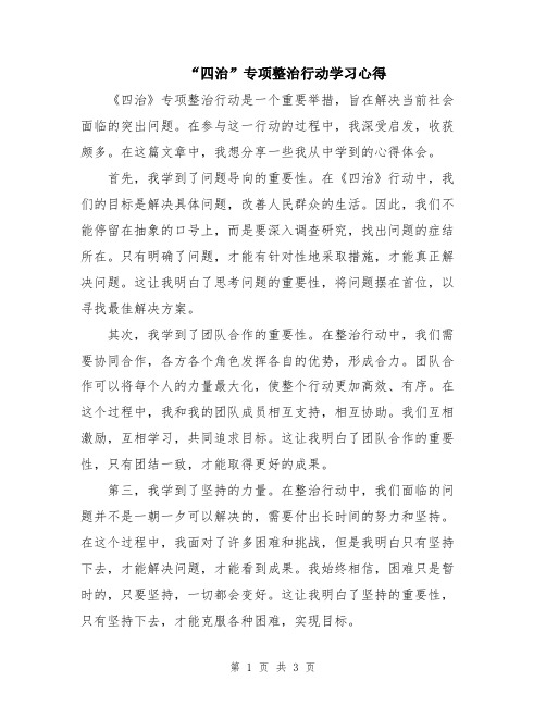 “四治”专项整治行动学习心得