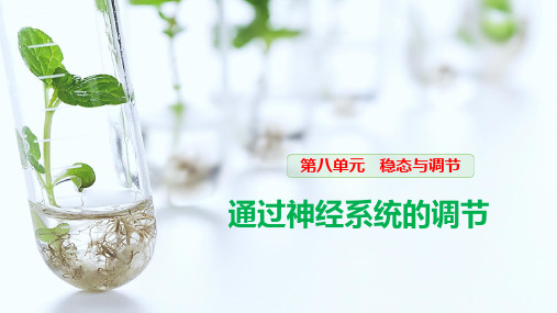 届高三生物一轮复习---通过神经系统的调节教学ppt共74张PPT