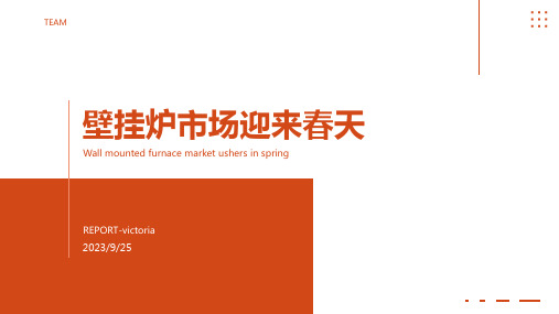 2023年壁挂炉产业将迎来安居市场之春报告模板