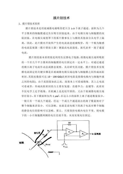 膜片钳技术