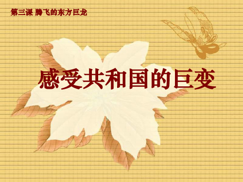 社会主义初级阶段.ppt