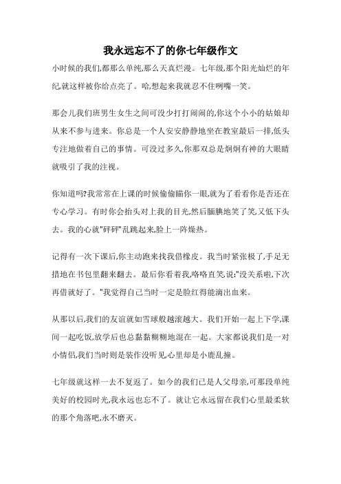 我永远忘不了的你七年级作文