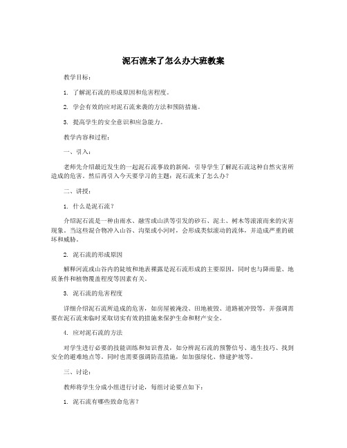 泥石流来了怎么办大班教案