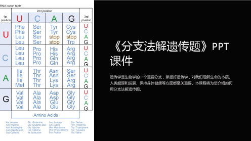 《分支法解遗传题》课件