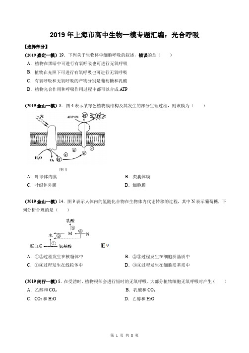 2019年上海市高中生物一模专题汇编：光合呼吸(学生版)