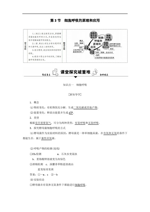 5.3细胞呼吸的影响因素及应用探究酵母菌细胞呼吸的方式(学案)——高一生物人教版(2019)必修1