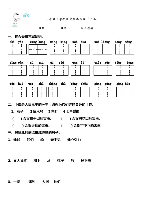 周末乐园13