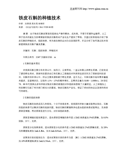 铁皮石斛的种植技术