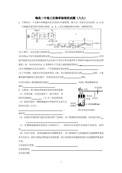 瑞昌二中高三生物单独培优试题(八九)