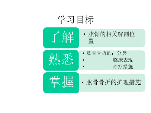 精品肱骨骨折护理查房PPT资料