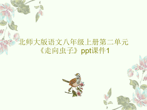 北师大版语文八年级上册第二单元《走向虫子》ppt课件1共28页