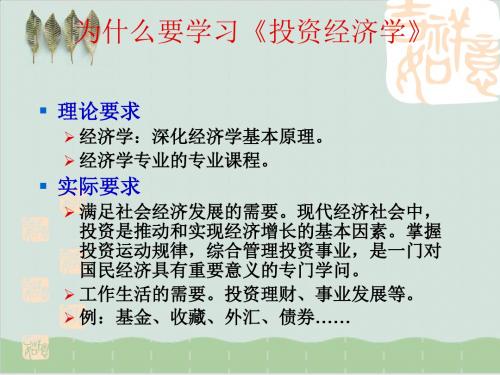 投资经济学基本概论PPT课件( 30页)