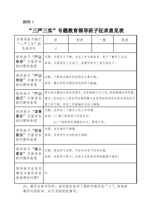 “三严三实”专题教育领导班子成员征求意见表