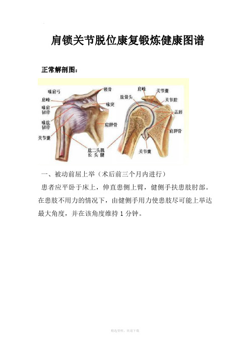 肩锁关节脱位康复锻炼健康图谱