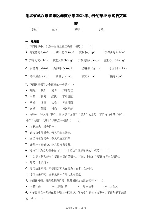 湖北省武汉市汉阳区翠微小学2020年小升初毕业考试语文试卷