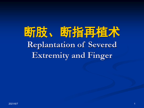 断肢、断指再植术PPT课件