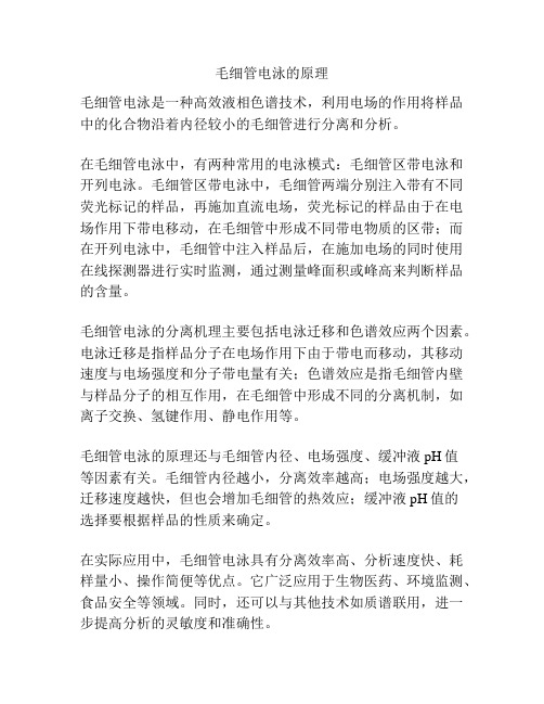 毛细管电泳的原理