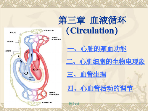 执业兽医师考试资料