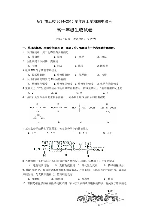 江苏省宿迁市五校2014-2015学年高一上学期期中联考试卷生物Word版含答案