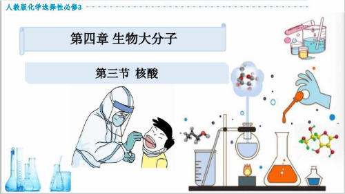 4-3核酸(教学课件)-高中化学人教版选择性必修3