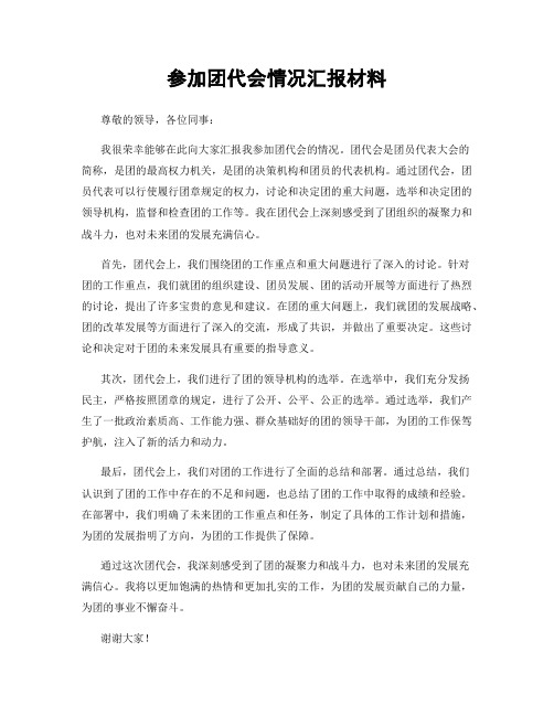 参加团代会情况汇报材料