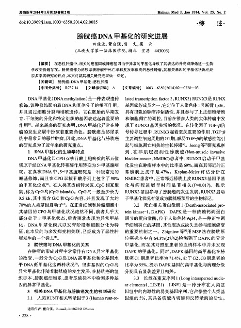 膀胱癌DNA甲基化的研究进展