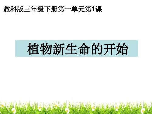 最新教科版科学三年级下册《植物新生命的开始》精品课件