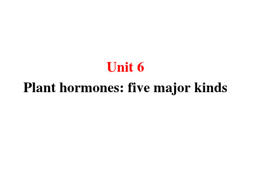 农科英语课件unit_5 Plant hormones five major kinds