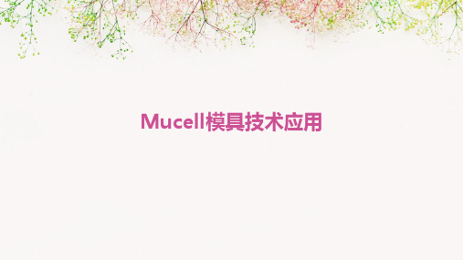 Mucell模具技术应用