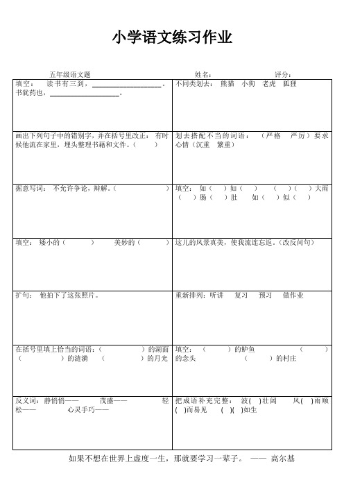 小学五年级语文精题选做III (22)